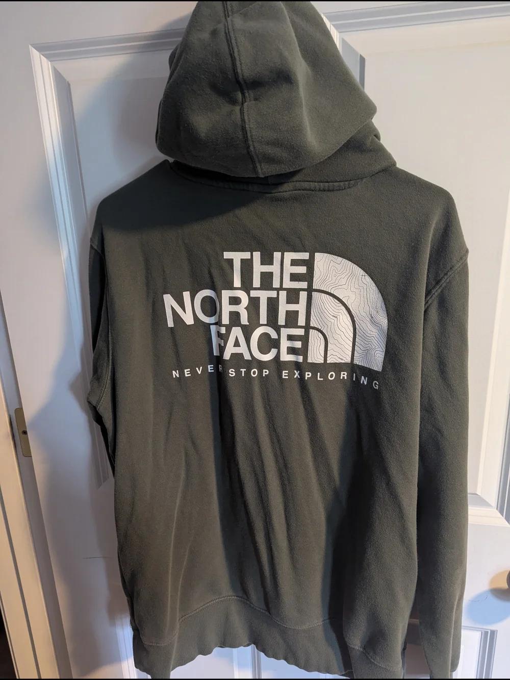 The North Face Men's Dark Olive Green Pullover Hoodie